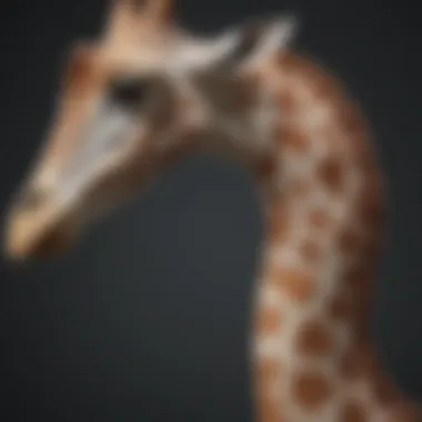 Neck Bone Comparison: Giraffe vs. Other Mammals Comparison of giraffe and other mammals' neck bones