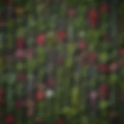 Diverse types of plant inoculants showcasing their variety