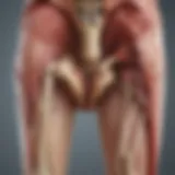 An illustration showing the anatomical structure of a joint affected by inflammation