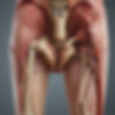 Anatomy of Joint Inflammation Post-Vaccination An illustration showing the anatomical structure of a joint affected by inflammation