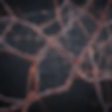 An intricate web of DNA strands highlighting genetic connections