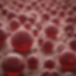 Medical illustration of essential thrombocythemia cells
