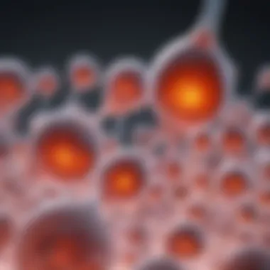 Graphical Overview of Sperm Motility Parameters Graphical representation of motility parameters