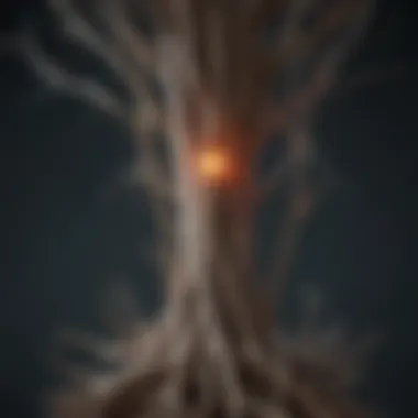 Targeting Nerve Roots in Rhizotomy Diagram showcasing nerve root targeting in rhizotomy