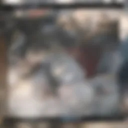 Illustration of the heart showing atrial fibrillation