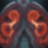 Detailed PET CT scan displaying lung cancer abnormalities