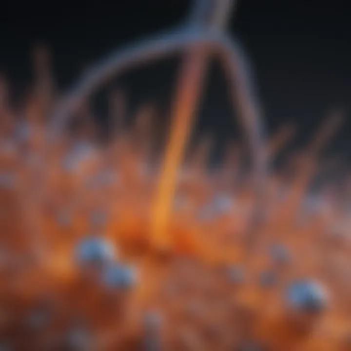 Illustration of photodynamic therapy mechanism