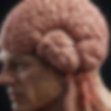 A close-up of a brain highlighting the physiological changes during withdrawal