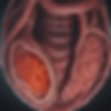 Diagram showing the physiological implications of GFR