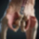 Anatomical diagram of the sacroiliac joint
