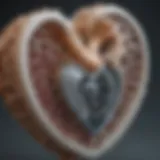 Illustration of a stented heart valve showcasing its intricate design.