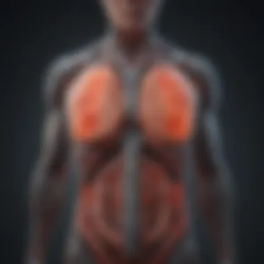 Infographic on the biochemical mechanisms of digestion