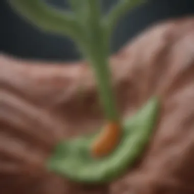 The Connection Between Stress and Gallbladder Function Illustration depicting the connection between stress and gallbladder function