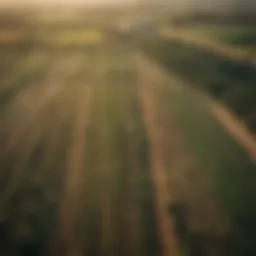 Aerial view of diverse agricultural fields