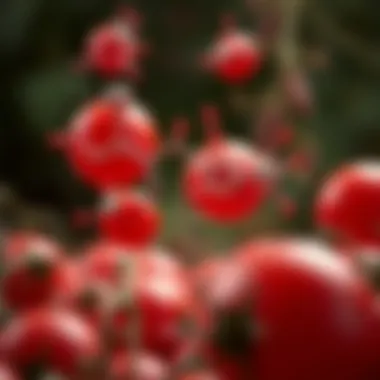Biochemical Actions of Lycopene Biochemical mechanisms of lycopene in the body