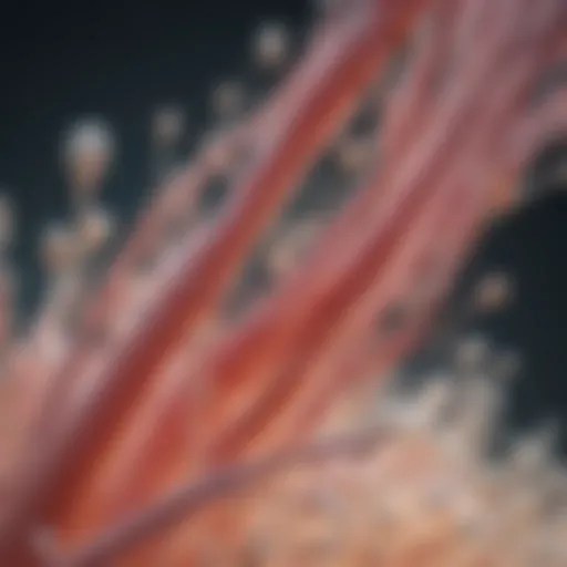 Illustration depicting collagen structure