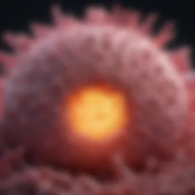 The Role of Chek2 Gene in Cancer: Insights and Implications Summary