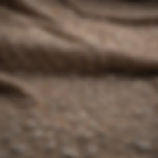 Historical significance of cotton fabric at the University of Cincinnati