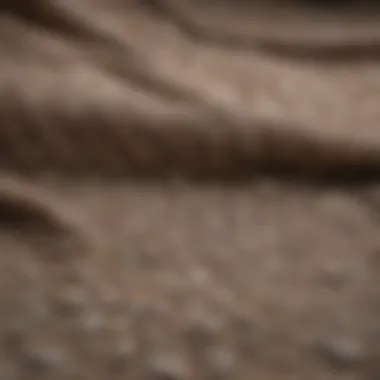 Historical Significance of Cotton Fabric Historical significance of cotton fabric at the University of Cincinnati