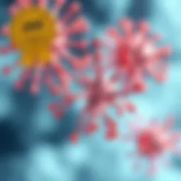Mechanism of action of JAK inhibitors