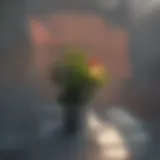 Red light spectrum and plant growth