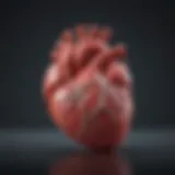 Overview of heart failure treatment strategies