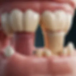 Diagram illustrating various types of dental cysts