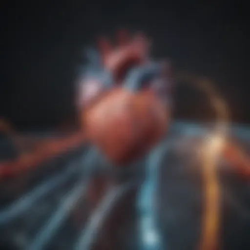 Illustration of the cardiac conduction system highlighting the right bundle branch