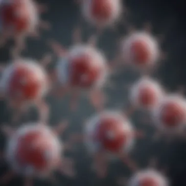 Illustration depicting the mechanisms of action of Hucd antibodies in immune response
