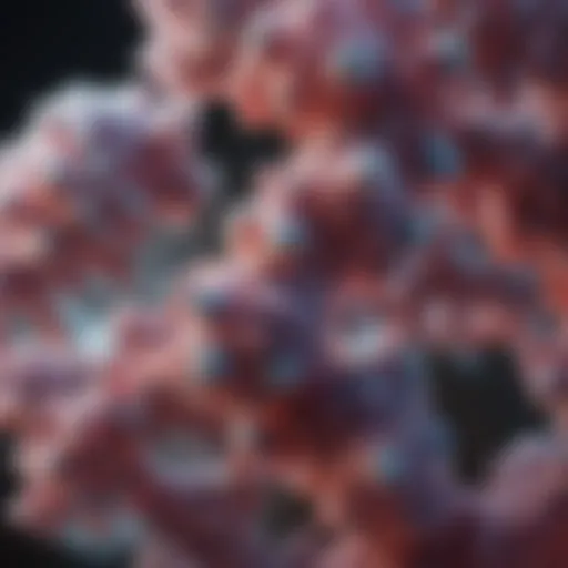 Detailed illustration of Immunoglobulin A structure