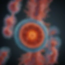 Illustration of lysosomal function and its abnormalities