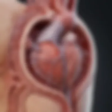 Types of Heart Valve Abnormalities Diagram illustrating the types of heart valve abnormalities.
