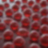 Illustration of platelet structure and composition