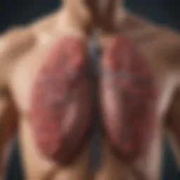 Detailed chart showing the classification of primary lung cancer types.