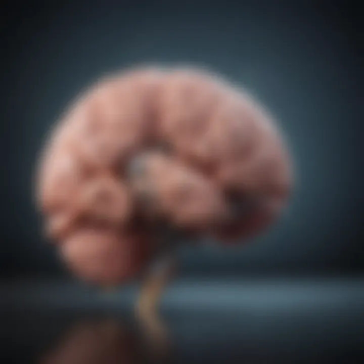 Illustration depicting the brain's role in emotional expression