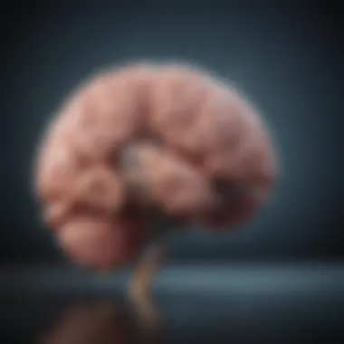 Brain Function and Emotional Expression Illustration depicting the brain's role in emotional expression