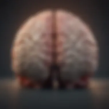 Visual representation of the brain highlighting areas affected by schizophrenia