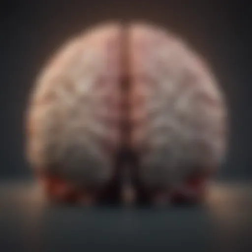 Visual representation of the brain highlighting areas affected by schizophrenia