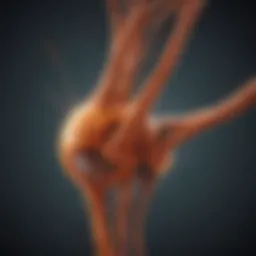 An abstract representation of sclerosis