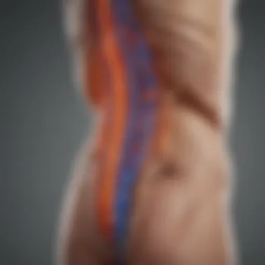 Diagram illustrating back pain and its connection to sclerosis