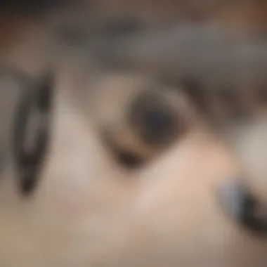 Close-up of skin with acne lesions