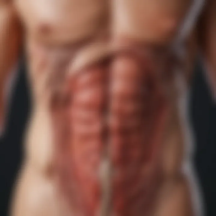 Diagram illustrating the pathophysiology of Takayasu arteritis