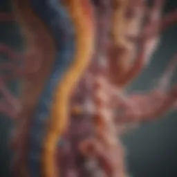 Illustration of the diverse microbial species within the digestive tract.