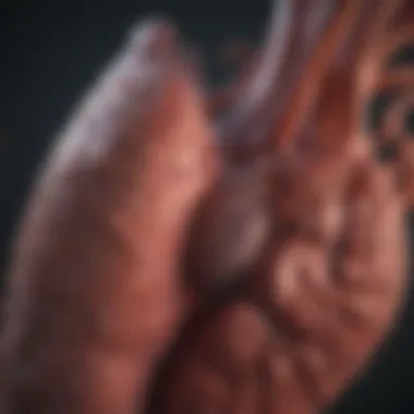 Diagnostic Approaches in Liver Cancer Diagnostic imaging techniques for liver cancer