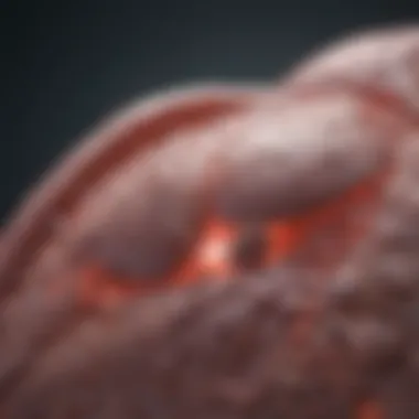 Palliative Care for Advanced Liver Cancer Palliative care strategies for liver cancer patients