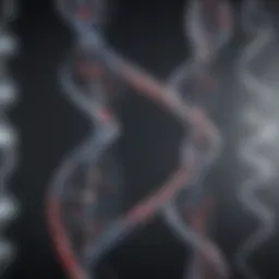 Visualization of the Moderna DNA sequence structure