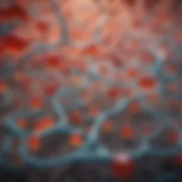 Illustration depicting the biochemical pathway of creatinine production