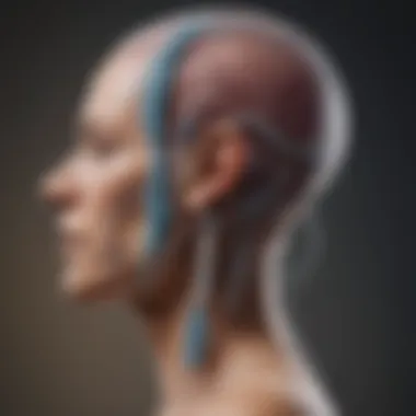 Vagus Nerve Stimulation Device Overview Diagram showing Vagus Nerve Stimulation device